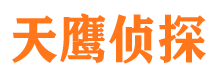 鲁甸调查公司